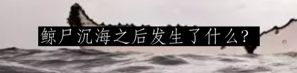 海洋巨兽的奇怪觅食方式 崇真艺客