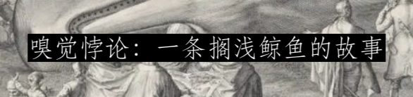 海洋巨兽的奇怪觅食方式 崇真艺客