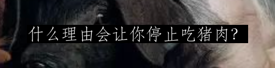 为动物发声：对话动物解放先驱彼得·辛格  Brandon Keim 崇真艺客