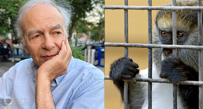为动物发声：对话动物解放先驱彼得·辛格  Brandon Keim 崇真艺客