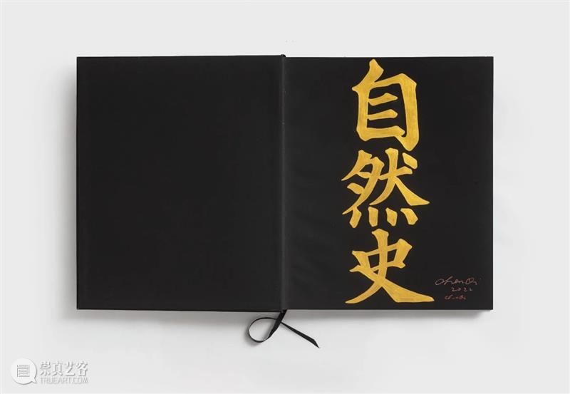 亚洲评论 | 陈琦:手制书系列作品 视频资讯 亚洲艺术中心 崇真艺客