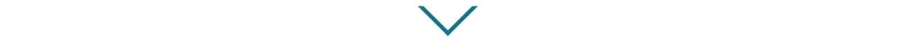 虚舟事件：江户时代的不明飞行物  domainreview 崇真艺客