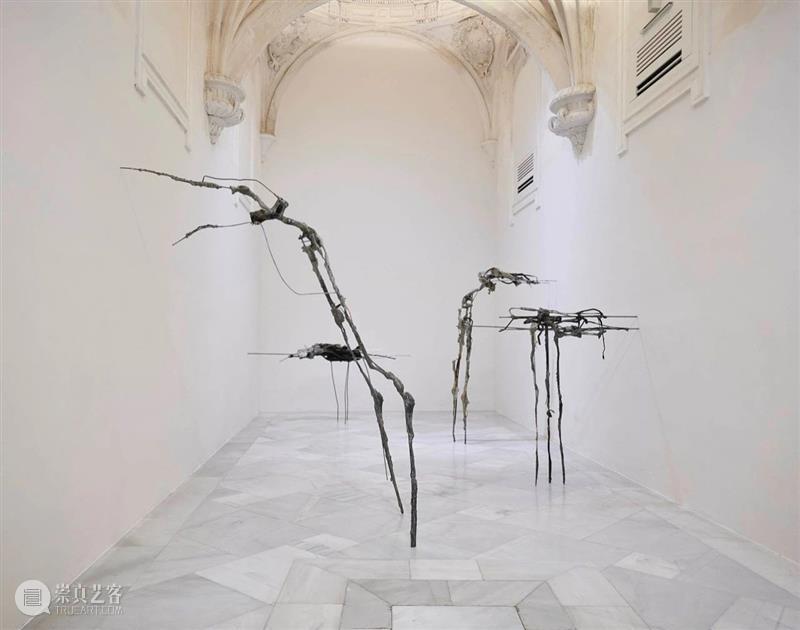 同行/从自然到合成 | Giulia Cenci 视频资讯 同行 崇真艺客