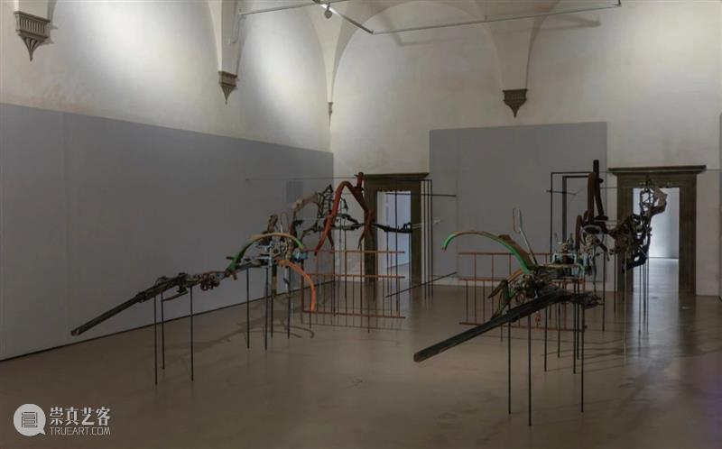 同行/从自然到合成 | Giulia Cenci 视频资讯 同行 崇真艺客