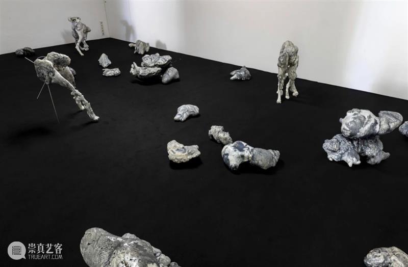 同行/从自然到合成 | Giulia Cenci 视频资讯 同行 崇真艺客