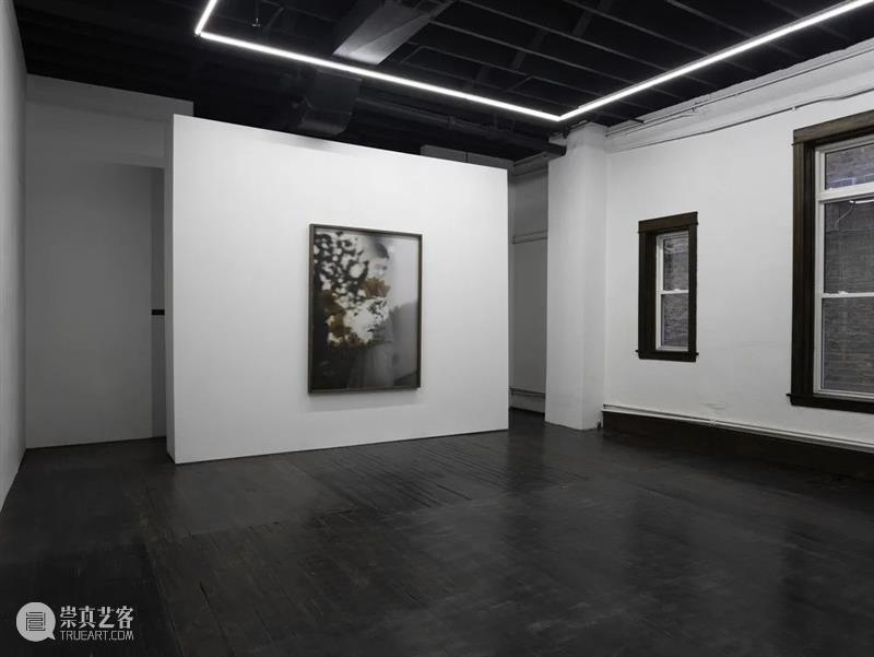 BP 艺术家丨伊夫·舍雷尔 Yves Scherer 崇真艺客