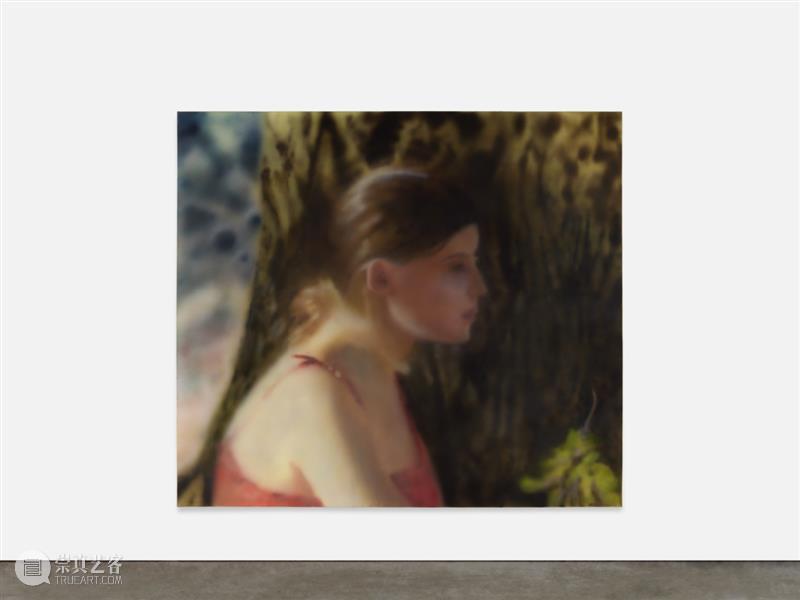 BP 艺术家丨伊夫·舍雷尔 Yves Scherer 崇真艺客