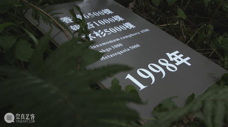 客厅FM | 曹明浩和陈建军：“水系博物馆”承载共通的情感 崇真艺客