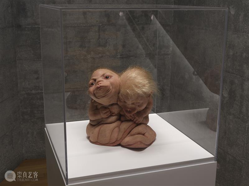 帕翠西亚·皮奇尼尼香港首展“希望” 热点聚焦  帕翠西亚·皮奇尼尼 Patricia Piccinini 大馆当代美术馆 崇真艺客