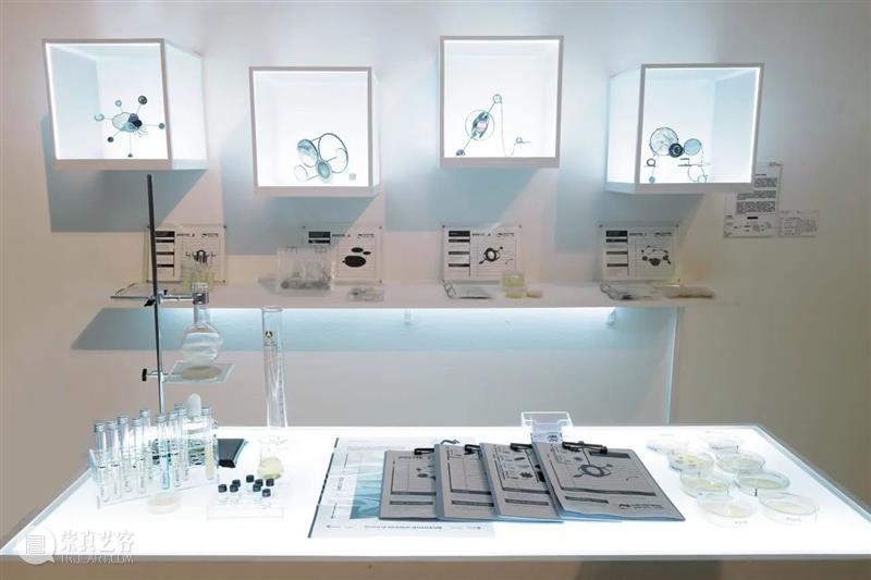 中央美术学院设计学院艺术与科技方向，27位青年艺术家用创作迎接“第三个科技时代” 崇真艺客