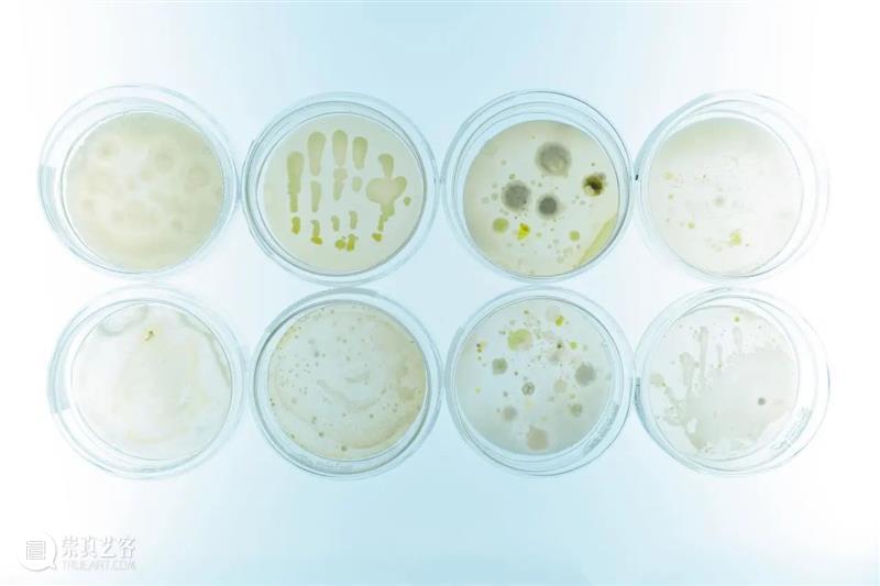 中央美术学院设计学院艺术与科技方向，27位青年艺术家用创作迎接“第三个科技时代” 崇真艺客