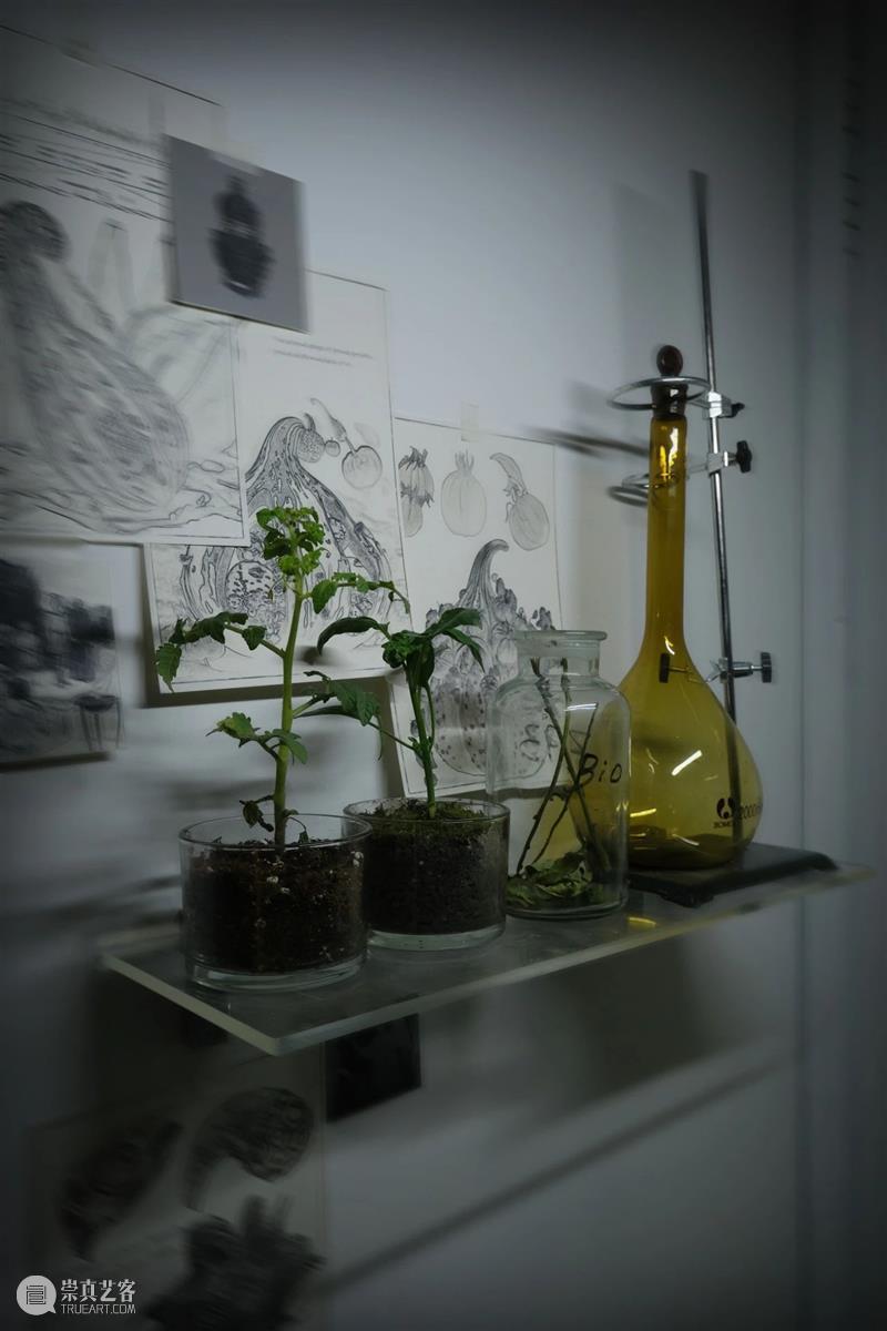 中央美术学院设计学院艺术与科技方向，27位青年艺术家用创作迎接“第三个科技时代” 崇真艺客