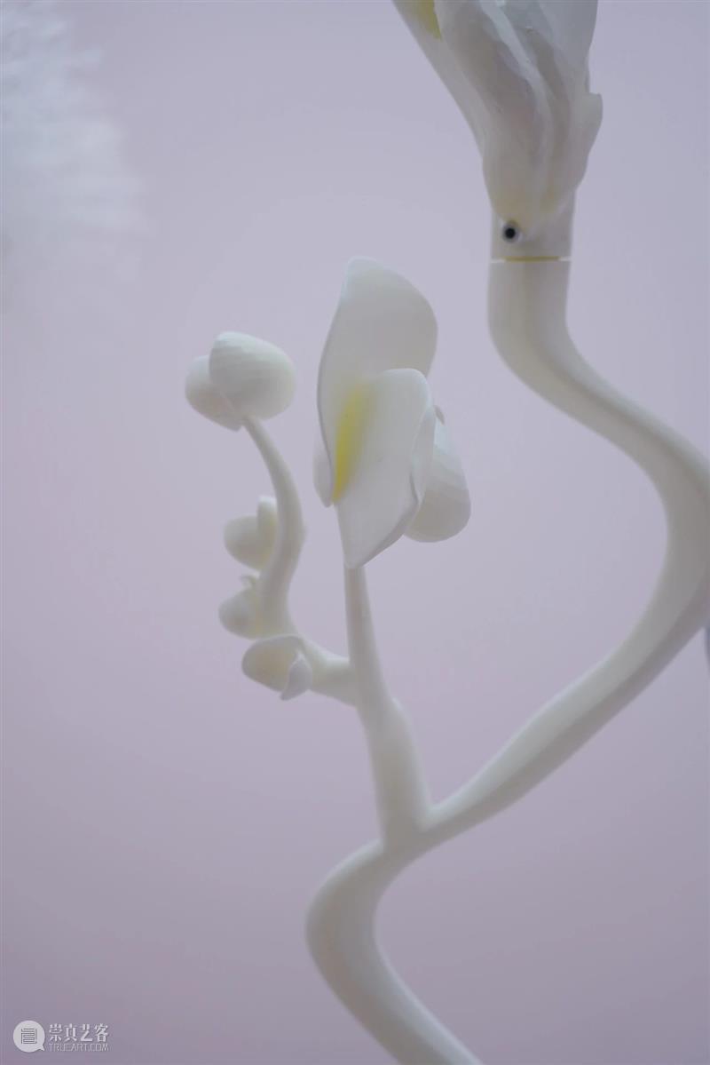 中央美术学院设计学院艺术与科技方向，27位青年艺术家用创作迎接“第三个科技时代” 崇真艺客