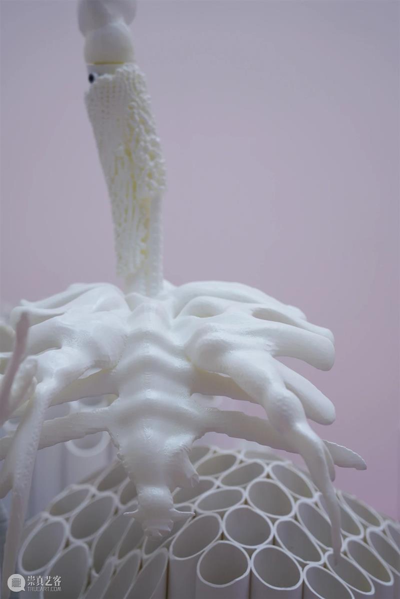中央美术学院设计学院艺术与科技方向，27位青年艺术家用创作迎接“第三个科技时代” 崇真艺客