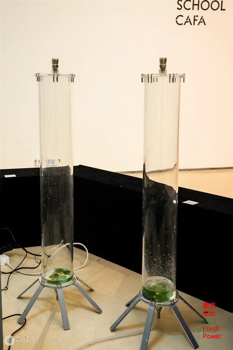 中央美术学院设计学院艺术与科技方向，27位青年艺术家用创作迎接“第三个科技时代” 崇真艺客