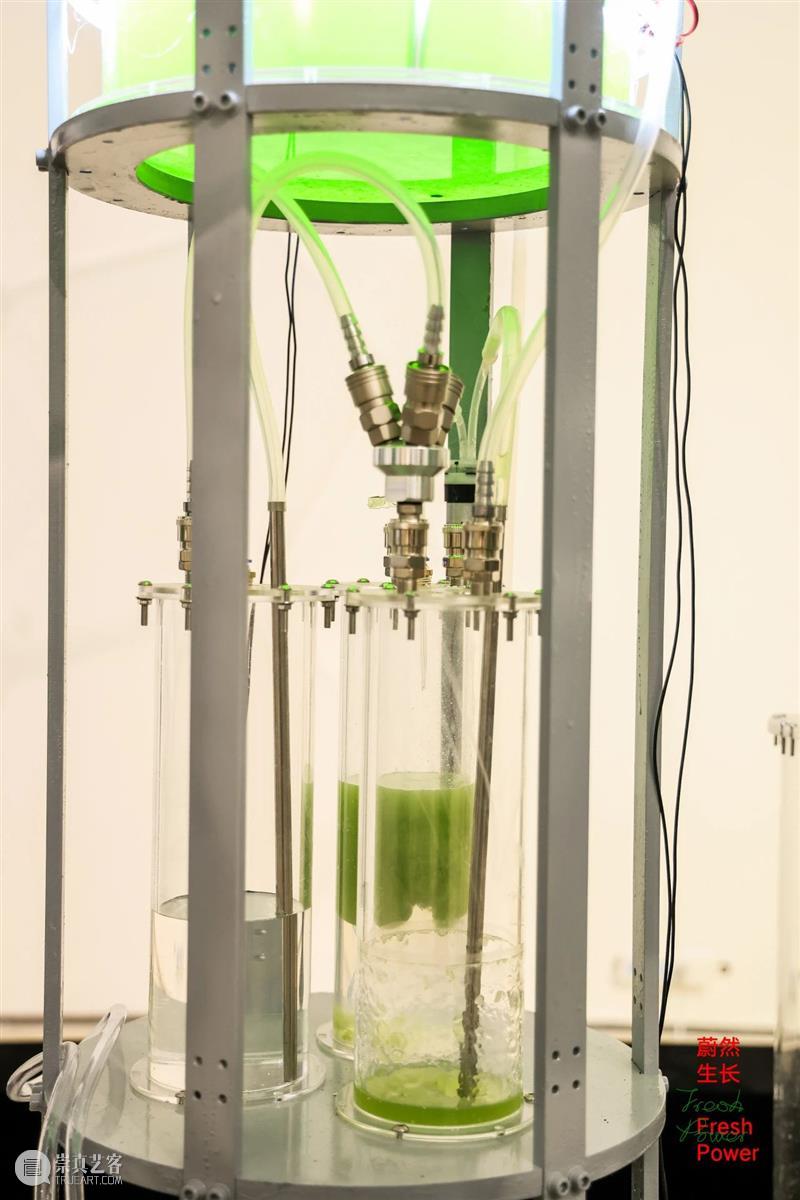 中央美术学院设计学院艺术与科技方向，27位青年艺术家用创作迎接“第三个科技时代” 崇真艺客