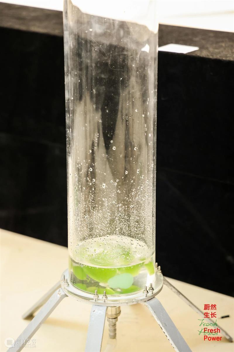 中央美术学院设计学院艺术与科技方向，27位青年艺术家用创作迎接“第三个科技时代” 崇真艺客