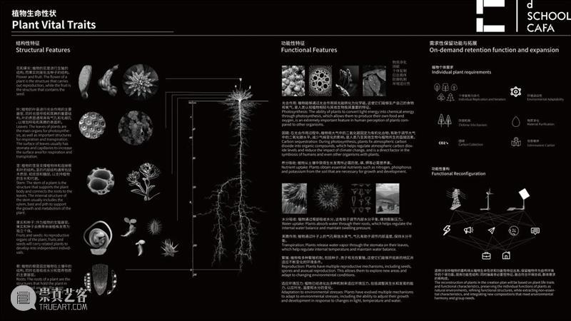 中央美术学院设计学院艺术与科技方向，27位青年艺术家用创作迎接“第三个科技时代” 崇真艺客