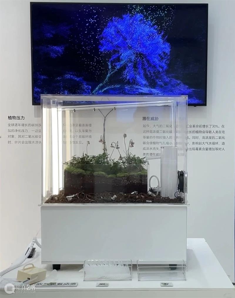 中央美术学院设计学院艺术与科技方向，27位青年艺术家用创作迎接“第三个科技时代” 崇真艺客