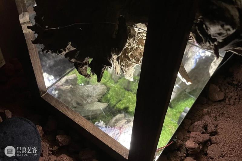 中央美术学院设计学院艺术与科技方向，27位青年艺术家用创作迎接“第三个科技时代” 崇真艺客
