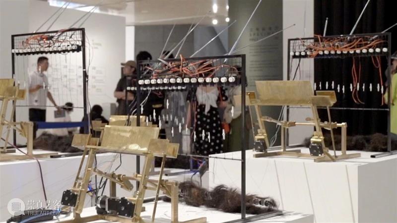 中央美术学院设计学院艺术与科技方向，27位青年艺术家用创作迎接“第三个科技时代” 崇真艺客