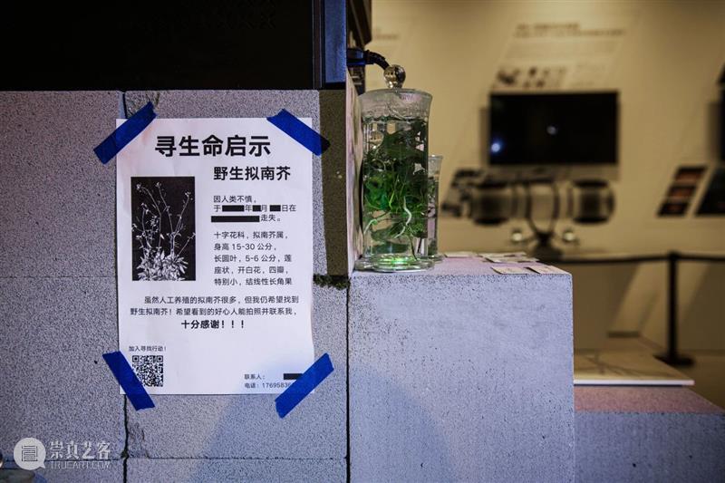 中央美术学院设计学院艺术与科技方向，27位青年艺术家用创作迎接“第三个科技时代” 崇真艺客
