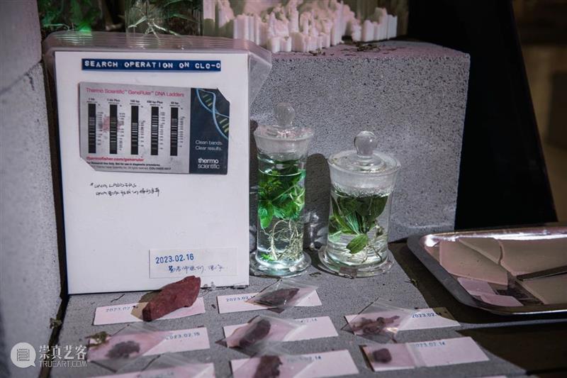 中央美术学院设计学院艺术与科技方向，27位青年艺术家用创作迎接“第三个科技时代” 崇真艺客