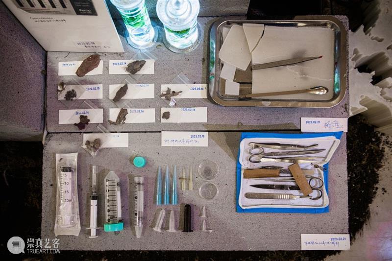 中央美术学院设计学院艺术与科技方向，27位青年艺术家用创作迎接“第三个科技时代” 崇真艺客