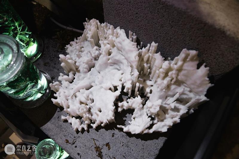 中央美术学院设计学院艺术与科技方向，27位青年艺术家用创作迎接“第三个科技时代” 崇真艺客