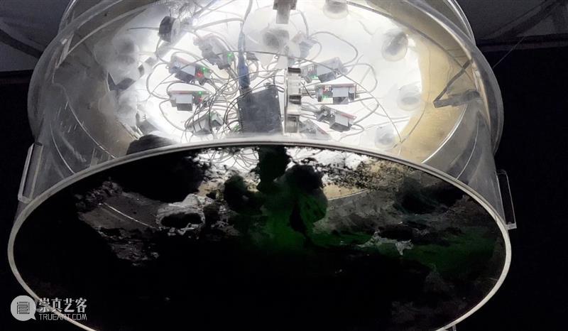 中央美术学院设计学院艺术与科技方向，27位青年艺术家用创作迎接“第三个科技时代” 崇真艺客