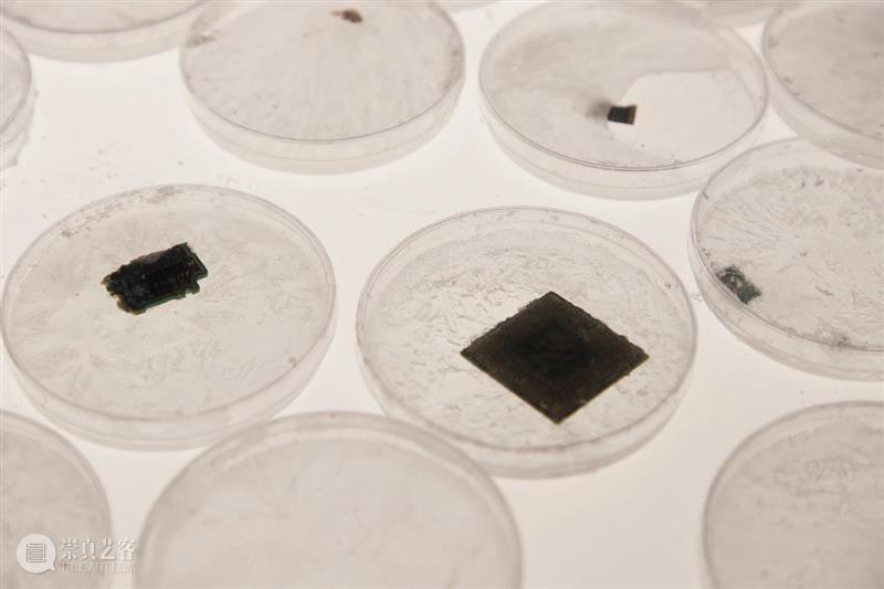 中央美术学院设计学院艺术与科技方向，27位青年艺术家用创作迎接“第三个科技时代” 崇真艺客