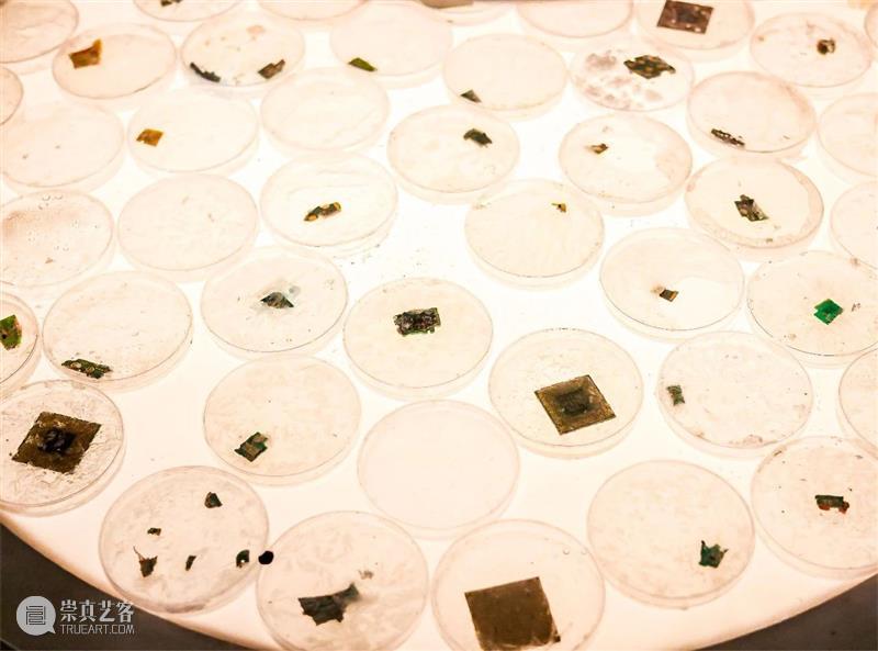 中央美术学院设计学院艺术与科技方向，27位青年艺术家用创作迎接“第三个科技时代” 崇真艺客