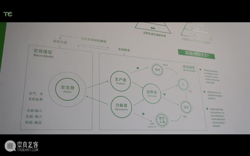中央美术学院设计学院艺术与科技方向，27位青年艺术家用创作迎接“第三个科技时代” 崇真艺客