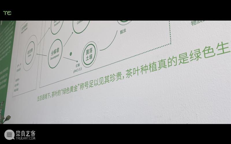 中央美术学院设计学院艺术与科技方向，27位青年艺术家用创作迎接“第三个科技时代” 崇真艺客