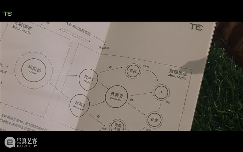 中央美术学院设计学院艺术与科技方向，27位青年艺术家用创作迎接“第三个科技时代” 崇真艺客
