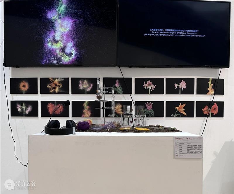 中央美术学院设计学院艺术与科技方向，27位青年艺术家用创作迎接“第三个科技时代” 崇真艺客