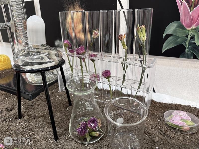 中央美术学院设计学院艺术与科技方向，27位青年艺术家用创作迎接“第三个科技时代” 崇真艺客