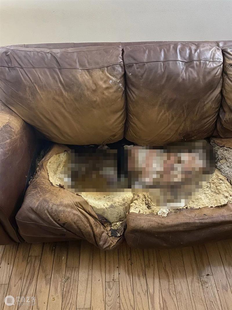 莱西案：被“融化”在沙发里的女人 崇真艺客