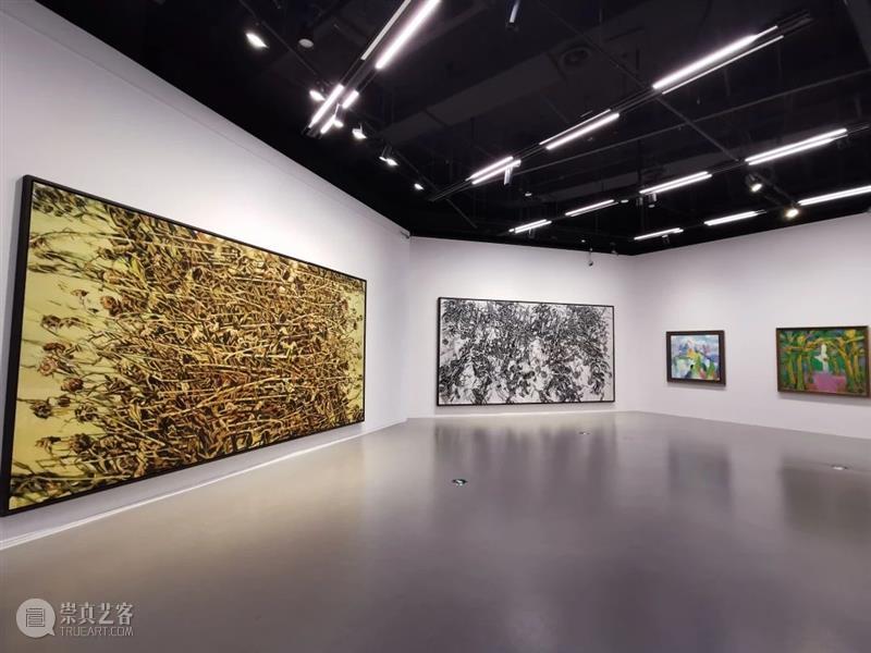 艺术是生命的表现—《中国表现2023》正在展出中  奥赛画廊 崇真艺客
