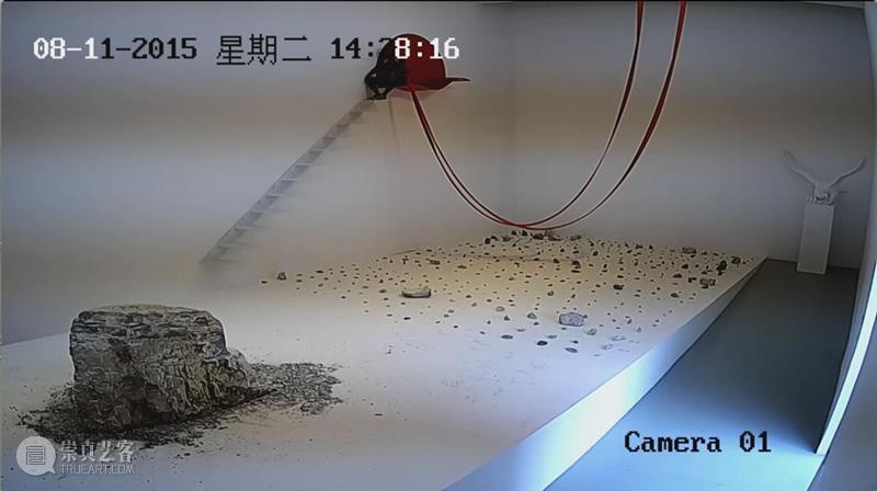 刘成瑞 | 近年行为艺术作品回顾  没顶画廊 崇真艺客