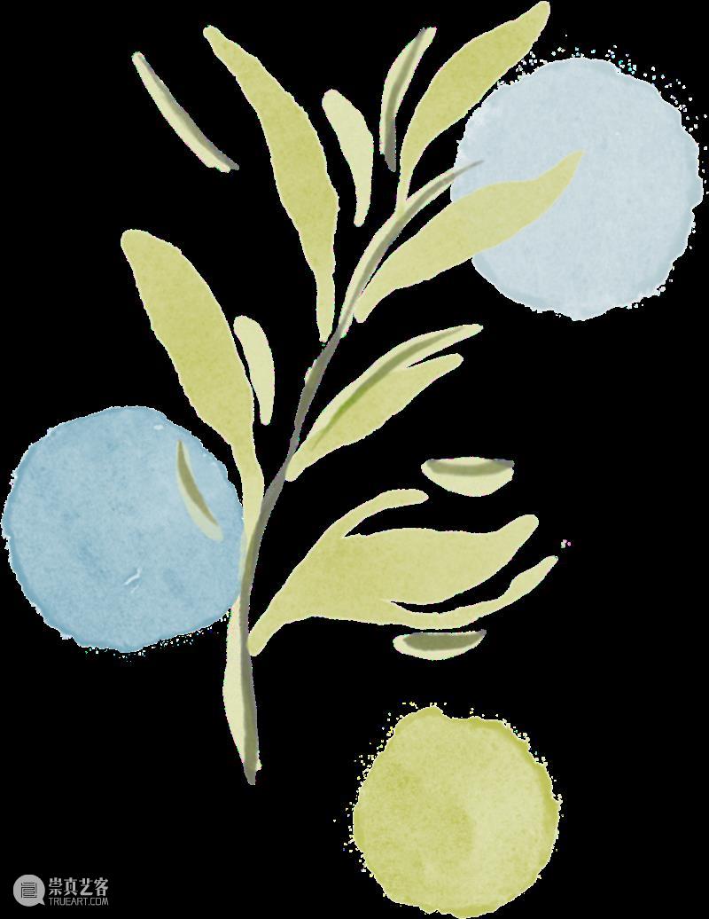 热烈欢迎PACHAMAMA加入“我爱西班牙语”俱乐部！ 崇真艺客