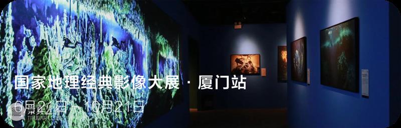 新展预告丨「热血」胡雷厦门个人作品展 崇真艺客