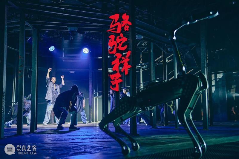 究竟是什么样的剧,能让观众看完写下万字长评? 崇真艺客