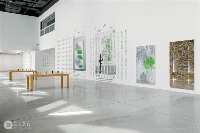 《绘画, 动员》| 王亚敏评徐震®个展“漂流点赞，街头抽表” 崇真艺客