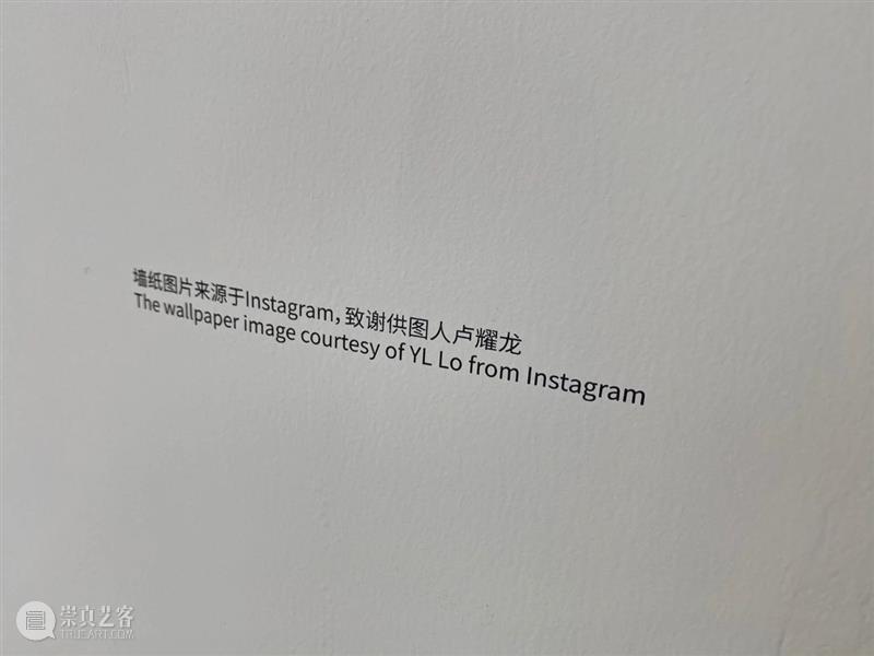 《绘画, 动员》| 王亚敏评徐震®个展“漂流点赞，街头抽表” 崇真艺客