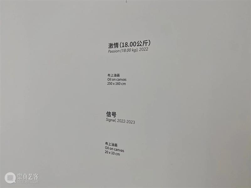 《绘画, 动员》| 王亚敏评徐震®个展“漂流点赞，街头抽表” 崇真艺客