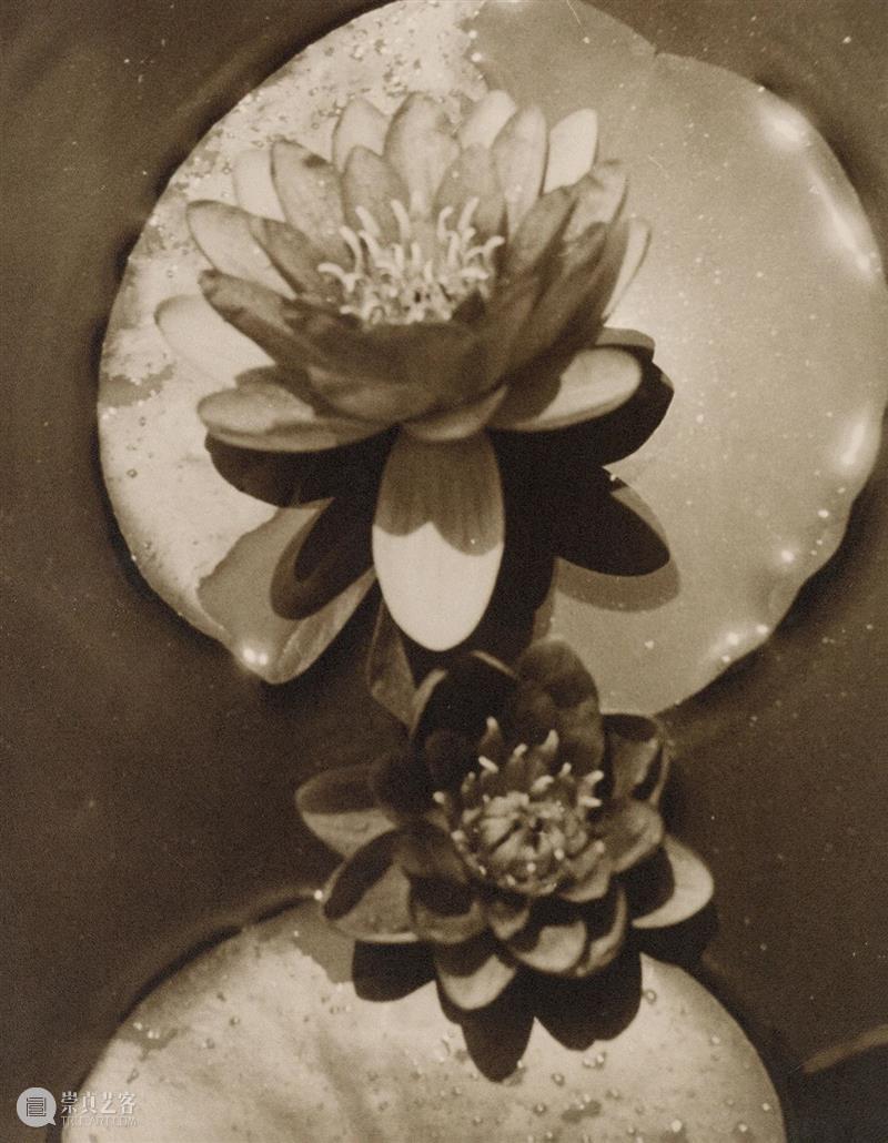 又見——影像艺术专场精览丨中贸圣佳2023上海拍 崇真艺客