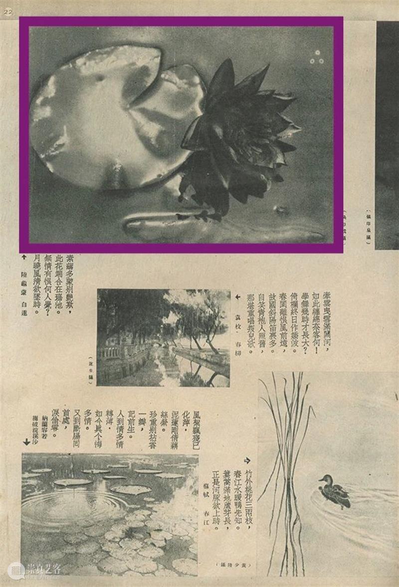 又見——影像艺术专场精览丨中贸圣佳2023上海拍 崇真艺客