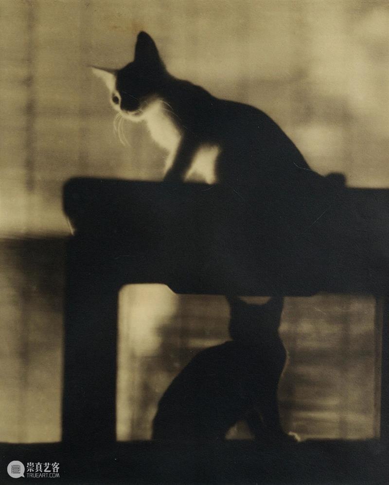 又見——影像艺术专场精览丨中贸圣佳2023上海拍 崇真艺客