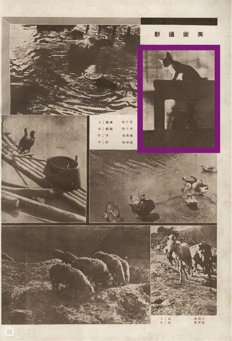 又見——影像艺术专场精览丨中贸圣佳2023上海拍 崇真艺客